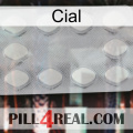 Cial 16